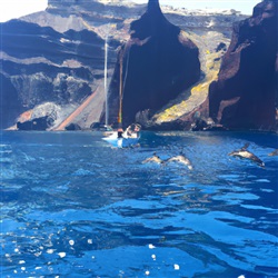 De beste plekken om te zeilen met dolfijnen op Santorini